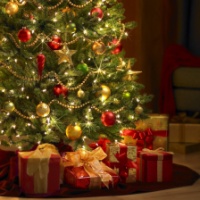 12 Days of Christmas - The Christmas Tree
